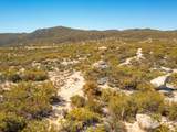 0 Chihuahua Valley Road - Photo 14