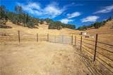 1420 Pozo Road - Photo 46