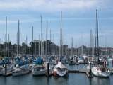 152 Frederick Street - Photo 64