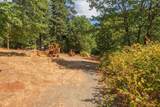 171 Connor Creek Rd - Photo 16