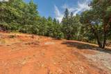 171 Connor Creek Rd - Photo 3