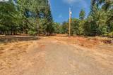 171 Connor Creek Rd - Photo 6