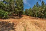 171 Connor Creek Rd - Photo 9