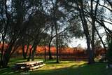 49610 House Ranch Rd - Photo 44