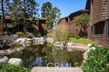 33852 Del Obispo St Unit - Photo 12