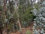 6567 Thornhill Drive - Photo 1