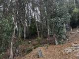 6567 Thornhill Drive - Photo 3