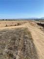 9800 Kern Canyon Road - Photo 7