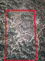  Joe Dog Lane - Photo 1