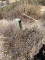 20 Stier Street - Photo 12