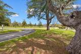 866 Apricot Avenue - Photo 54