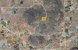 24007 Juniper Flats Road - Photo 3