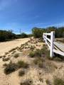 19 Higgins Road - Photo 18