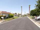 34451 Calle Las Palmas - Photo 30