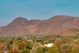71475 Jaguar Road - Photo 15