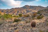 71475 Jaguar Road - Photo 19