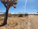 1901 Old Woman Springs Road - Photo 6