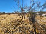 56646 Antelope Trail - Photo 8