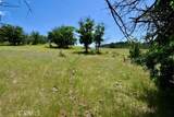 0 XX Yellow Dog Trail - Photo 3