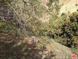 2861 Forest Park Drive - Photo 7