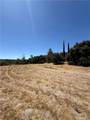 3755 El Camino Real - Photo 8
