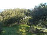 11800 San Marcos Road - Photo 14