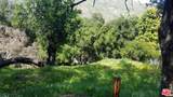 26247 Fairside Road - Photo 1