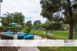 5286 Caminito Vista Lujo - Photo 23