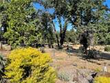237 Redbud - Photo 4