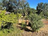237 Redbud - Photo 6
