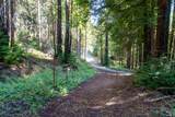 19145 Big Basin Way - Photo 13