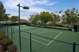 27870 Tamara Drive - Photo 41