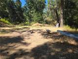 3990 Natoma Pass - Photo 1