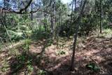 0 Black Bart Road - Photo 20
