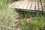 0 Black Bart Road - Photo 31