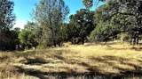 0 Rich Gulch Road - Photo 6
