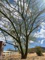 7024 Saddleback Road - Photo 22