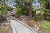 1019 Los Trancos Road - Photo 11
