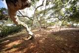 18221 Berta Canyon Road - Photo 10
