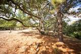 18221 Berta Canyon Road - Photo 11