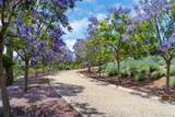 18245 Paseo Victoria - Photo 49