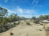 43601 Bonny Lane - Photo 16