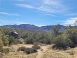 43601 Bonny Lane - Photo 3