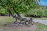 31600 Little Valley Road - Photo 36