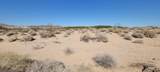 1655 La Buena Tierra Avenue - Photo 14