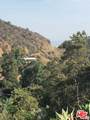 2301 Nichols Canyon - Photo 2