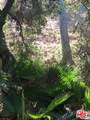 2301 Nichols Canyon - Photo 7