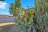 4108 Irene Dr - Photo 34