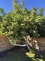 82774 Matthau Drive - Photo 8