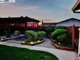 2421 Maraschino Pl - Photo 40